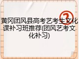 黄冈团风县高考艺考生文化课补习班推荐(团风艺考文化补习)