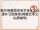 焦作博爱县高考艺考生文化课补习班推荐(博爱艺考文化课辅导)