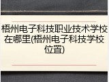 梧州电子科技职业技术学校在哪里(梧州电子科技学校位置)