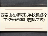 西塞山在哪可以学挖机哪个学校好(西塞山挖机学校)