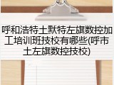 呼和浩特土默特左旗数控加工培训班技校有哪些(呼市土左旗数控技校)