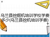乌兰县挖掘机培训学校学费多少(乌兰县挖机培训学费)