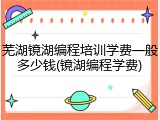 芜湖镜湖编程培训学费一般多少钱(镜湖编程学费)