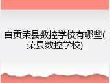 自贡荣县数控学校有哪些(荣县数控学校)