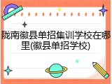 陇南徽县单招集训学校在哪里(徽县单招学校)