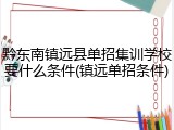 黔东南镇远县单招集训学校要什么条件(镇远单招条件)