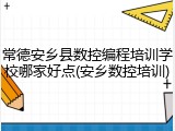 常德安乡县数控编程培训学校哪家好点(安乡数控培训)