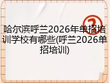 哈尔滨呼兰2026年单招培训学校有哪些(呼兰2026单招培训)