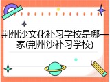 荆州沙文化补习学校是哪一家(荆州沙补习学校)