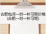 合肥包河一对一补习班价格(合肥一对一补习班)
