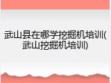 武山县在哪学挖掘机培训(武山挖掘机培训)