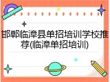 邯郸临漳县单招培训学校推荐(临漳单招培训)