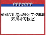 孝感汉川精品补习学校地址(汉川补习校址)