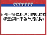 朔州平鲁单招培训的机构有哪些(朔州平鲁单招机构)