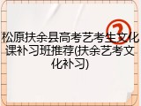 松原扶余县高考艺考生文化课补习班推荐(扶余艺考文化补习)