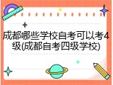 成都哪些学校自考可以考4级(成都自考四级学校)