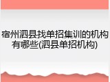 宿州泗县找单招集训的机构有哪些(泗县单招机构)