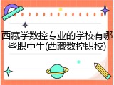 西藏学数控专业的学校有哪些职中生(西藏数控职校)