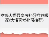 孝感大悟县高考补习推荐哪家(大悟高考补习推荐)