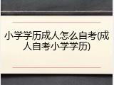 小学学历成人怎么自考(成人自考小学学历)