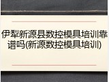 伊犁新源县数控模具培训靠谱吗(新源数控模具培训)