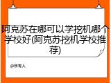 阿克苏在哪可以学挖机哪个学校好(阿克苏挖机学校推荐)