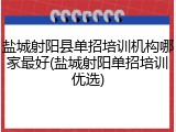 盐城射阳县单招培训机构哪家最好(盐城射阳单招培训优选)