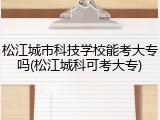 松江城市科技学校能考大专吗(松江城科可考大专)