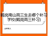 鹤岗南山高三生去哪个补习学校(鹤岗高三补习)
