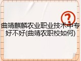 曲靖麒麟农业职业技术中专好不好(曲靖农职校如何)