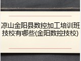 凉山金阳县数控加工培训班技校有哪些(金阳数控技校)