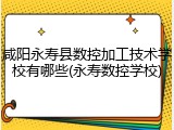 咸阳永寿县数控加工技术学校有哪些(永寿数控学校)