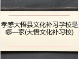 孝感大悟县文化补习学校是哪一家(大悟文化补习校)
