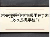 未央挖掘机技校哪里有("未央挖掘机学校")