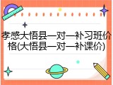孝感大悟县一对一补习班价格(大悟县一对一补课价)