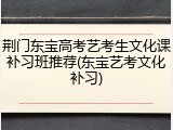 荆门东宝高考艺考生文化课补习班推荐(东宝艺考文化补习)