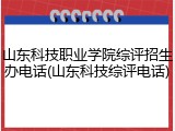 山东科技职业学院综评招生办电话(山东科技综评电话)