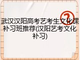 武汉汉阳高考艺考生文化课补习班推荐(汉阳艺考文化补习)