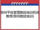 贺州平桂管理数控培训机构推荐(贺州数控培训)