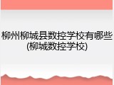 柳州柳城县数控学校有哪些(柳城数控学校)