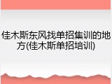 佳木斯东风找单招集训的地方(佳木斯单招培训)