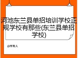 河池东兰县单招培训学校正规学校有那些(东兰县单招学校)