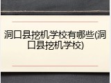 洞口县挖机学校有哪些(洞口县挖机学校)