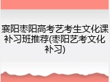 襄阳枣阳高考艺考生文化课补习班推荐(枣阳艺考文化补习)