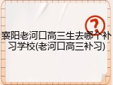 襄阳老河口高三生去哪个补习学校(老河口高三补习)