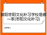 襄阳枣阳文化补习学校是哪一家(枣阳文化补习)