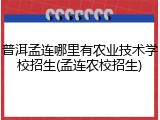 普洱孟连哪里有农业技术学校招生(孟连农校招生)