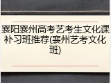 襄阳襄州高考艺考生文化课补习班推荐(襄州艺考文化班)