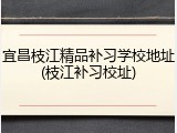 宜昌枝江精品补习学校地址(枝江补习校址)