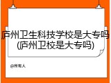 庐州卫生科技学校是大专吗(庐州卫校是大专吗)